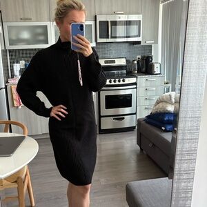 Aritzia black sweater dress.